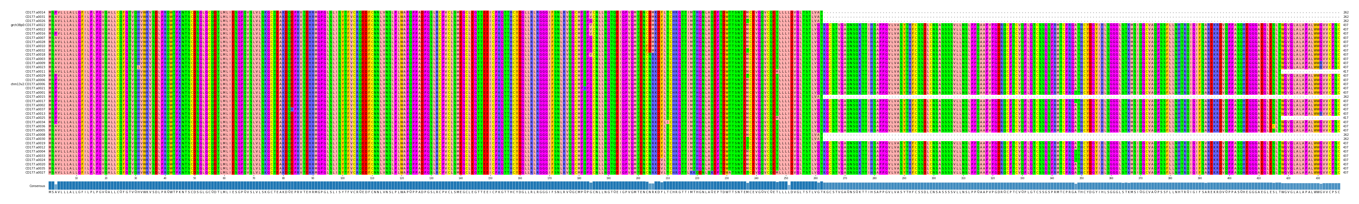 Multiple Alignments (by translate haplotype similarity)