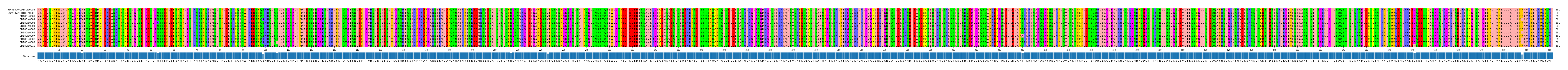 Multiple Alignments (by translate haplotype frequency)