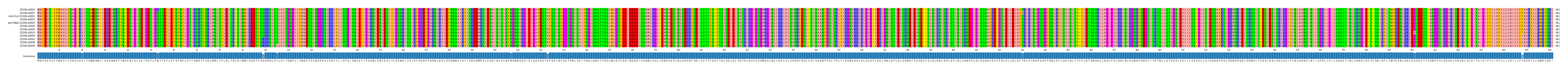 Multiple Alignments (by translate haplotype similarity)