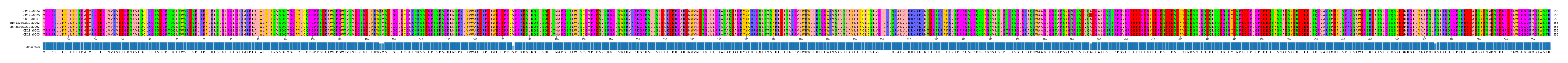 Multiple Alignments (by translate haplotype similarity)