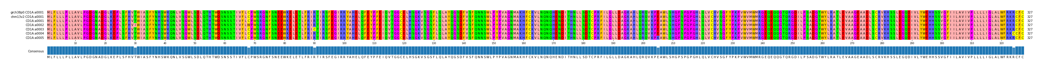 Multiple Alignments (by translate haplotype frequency)