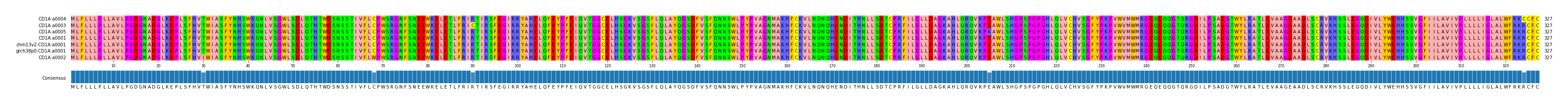 Multiple Alignments (by translate haplotype similarity)