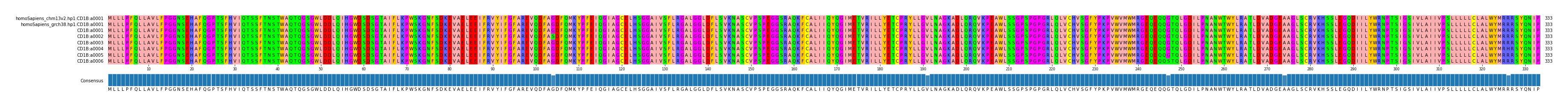 Multiple Alignments (by translate haplotype frequency)