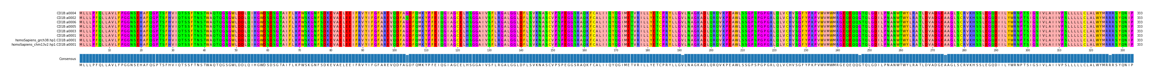 Multiple Alignments (by translate haplotype similarity)