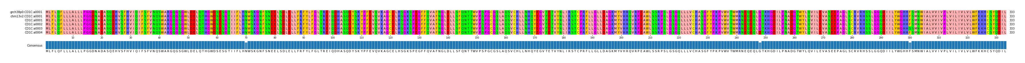Multiple Alignments (by translate haplotype frequency)