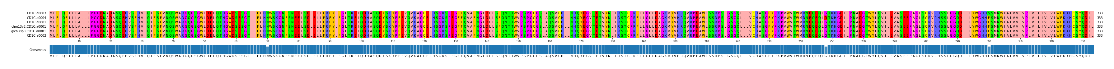 Multiple Alignments (by translate haplotype similarity)