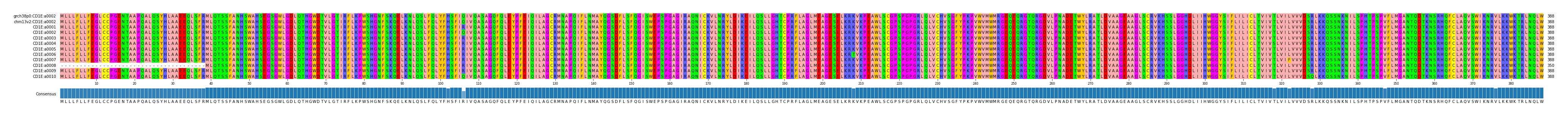 Multiple Alignments (by translate haplotype frequency)