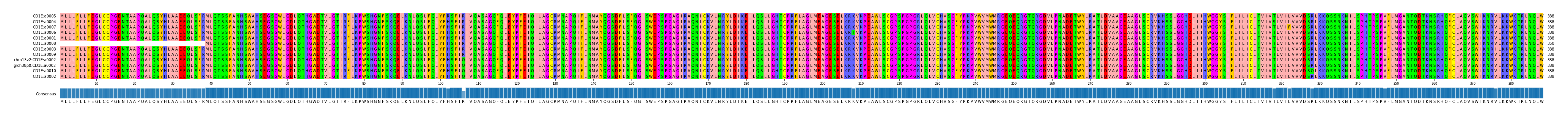 Multiple Alignments (by translate haplotype similarity)