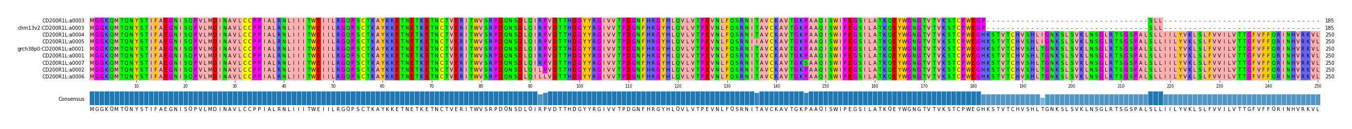 Multiple Alignments (by translate haplotype similarity)