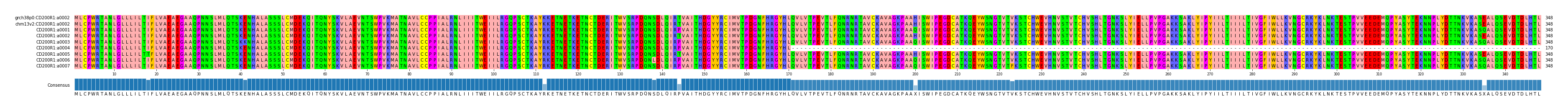 Multiple Alignments (by translate haplotype frequency)