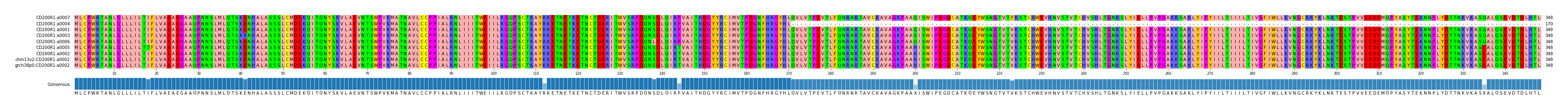 Multiple Alignments (by translate haplotype similarity)