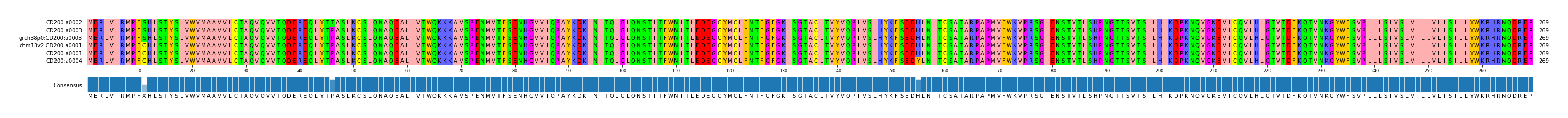 Multiple Alignments (by translate haplotype similarity)