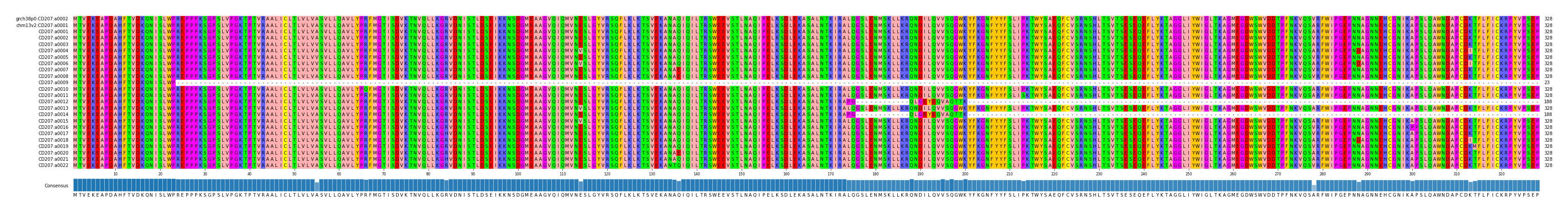 Multiple Alignments (by translate haplotype frequency)
