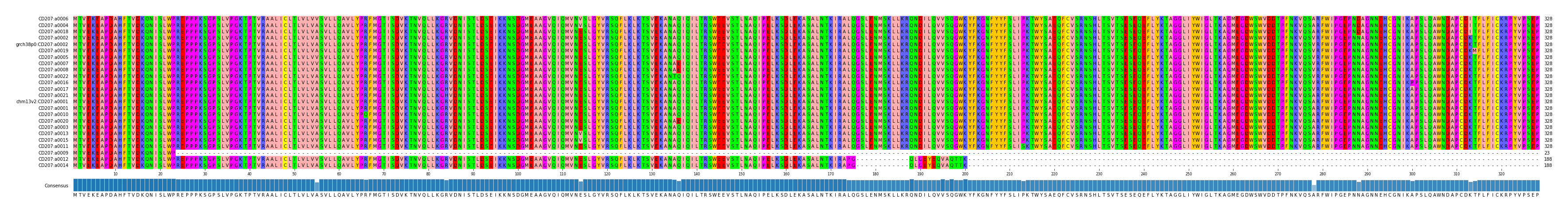 Multiple Alignments (by translate haplotype similarity)