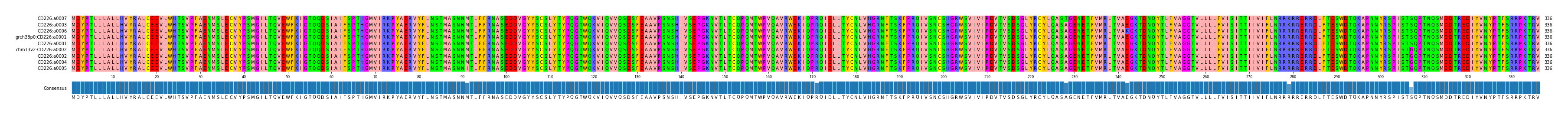 Multiple Alignments (by translate haplotype similarity)