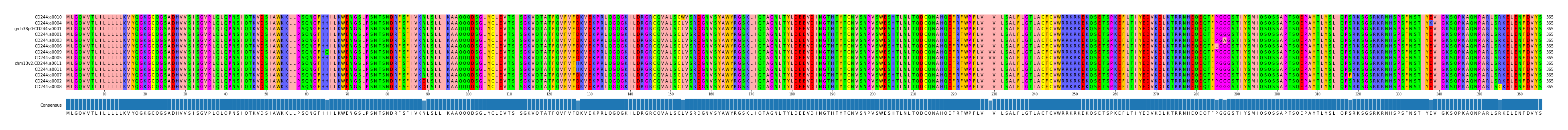 Multiple Alignments (by translate haplotype similarity)