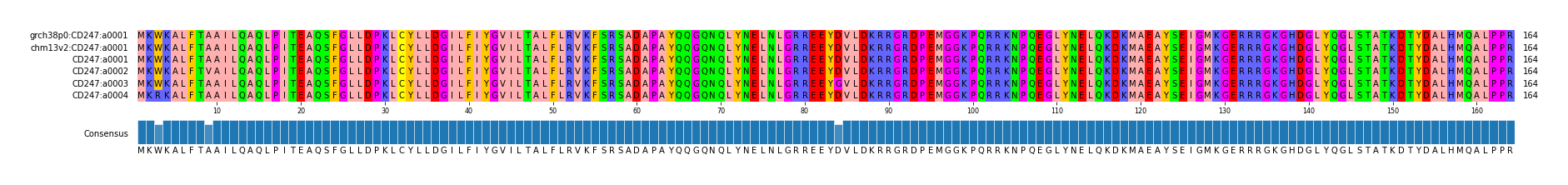 Multiple Alignments (by translate haplotype frequency)