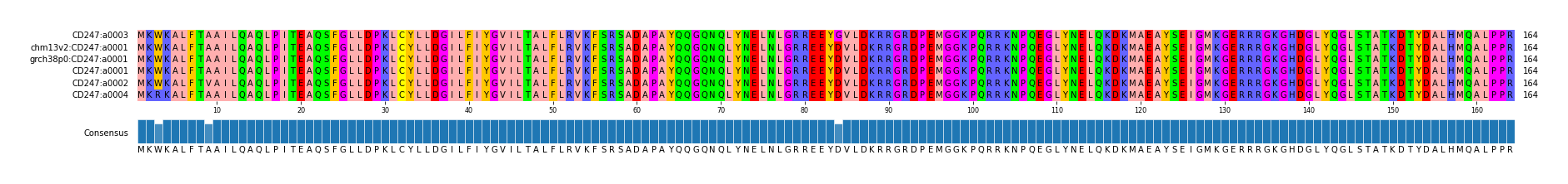 Multiple Alignments (by translate haplotype similarity)
