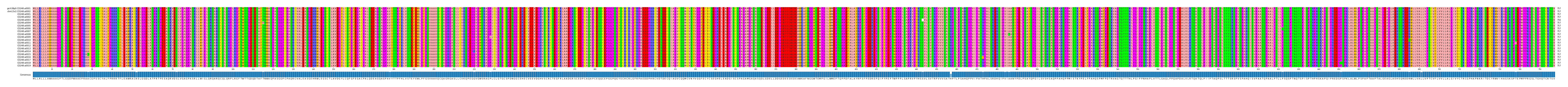 Multiple Alignments (by translate haplotype frequency)