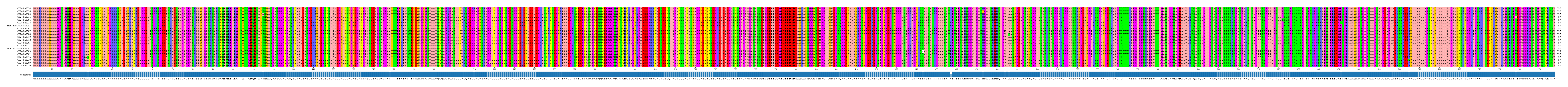 Multiple Alignments (by translate haplotype similarity)