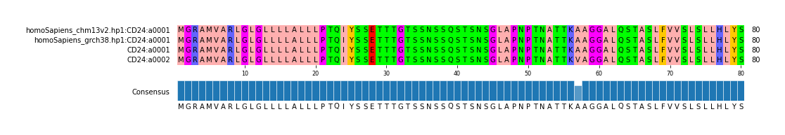 Multiple Alignments (by translate haplotype similarity)