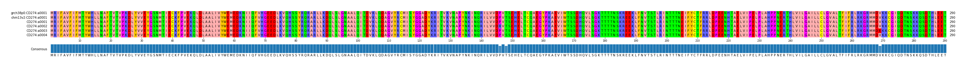 Multiple Alignments (by translate haplotype frequency)