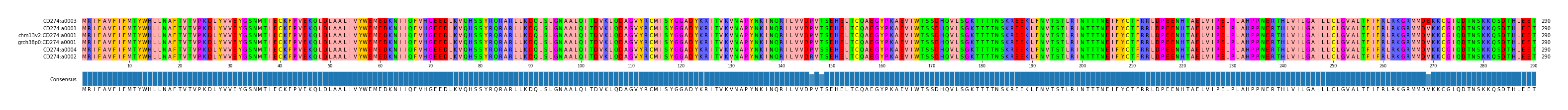 Multiple Alignments (by translate haplotype similarity)