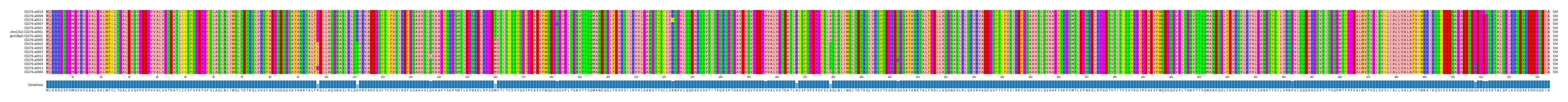 Multiple Alignments (by translate haplotype similarity)