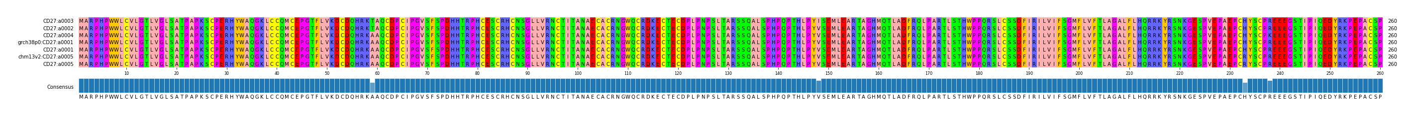 Multiple Alignments (by translate haplotype similarity)
