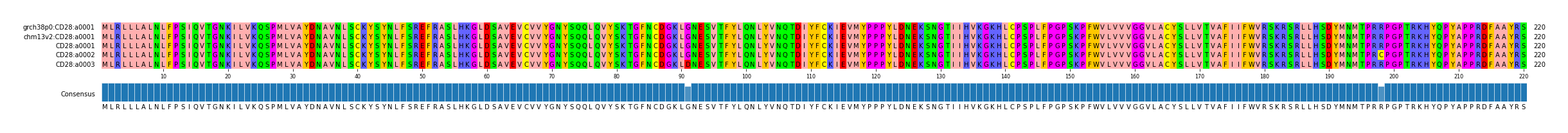Multiple Alignments (by translate haplotype frequency)