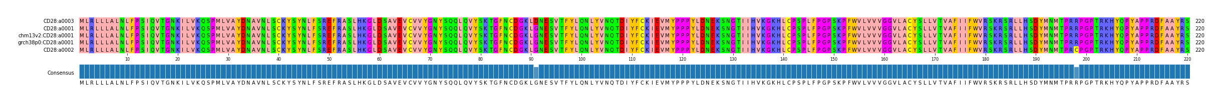 Multiple Alignments (by translate haplotype similarity)