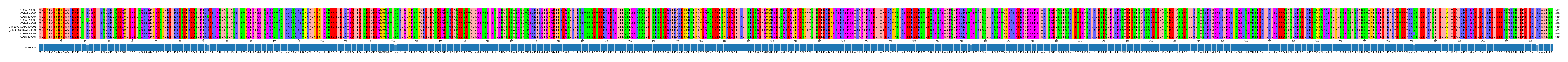 Multiple Alignments (by translate haplotype similarity)