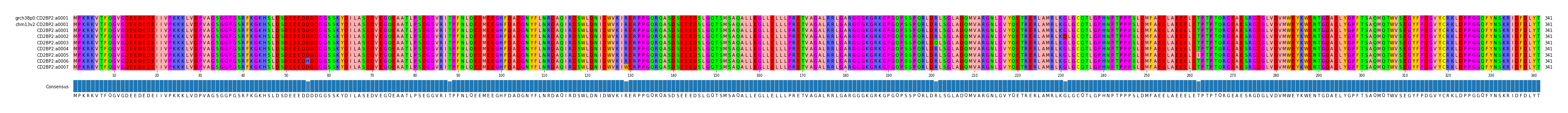 Multiple Alignments (by translate haplotype frequency)