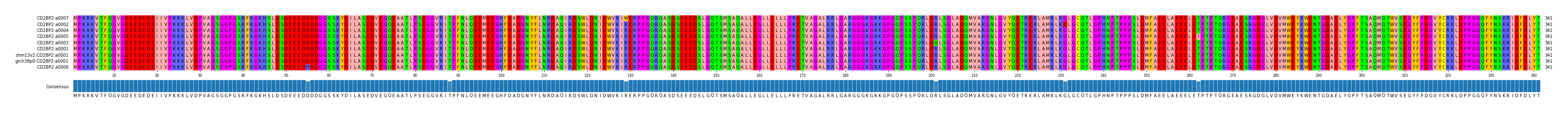 Multiple Alignments (by translate haplotype similarity)