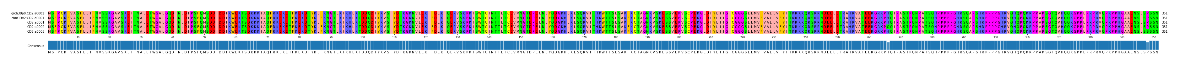 Multiple Alignments (by translate haplotype frequency)