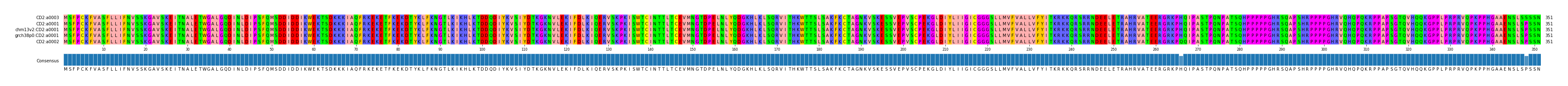Multiple Alignments (by translate haplotype similarity)