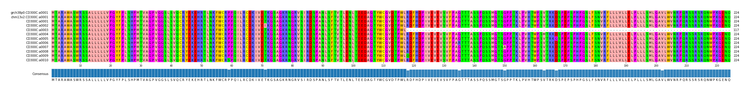 Multiple Alignments (by translate haplotype frequency)