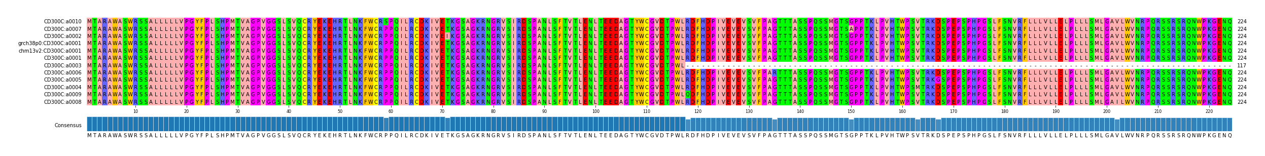 Multiple Alignments (by translate haplotype similarity)