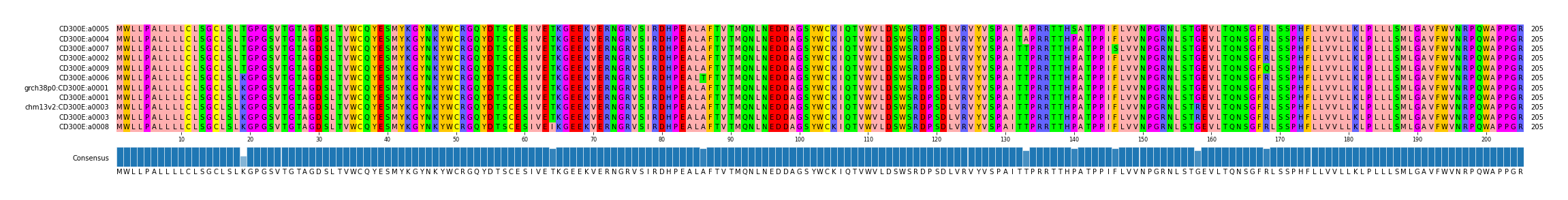 Multiple Alignments (by translate haplotype similarity)