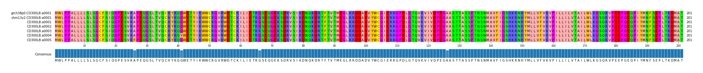 Multiple Alignments (by translate haplotype frequency)