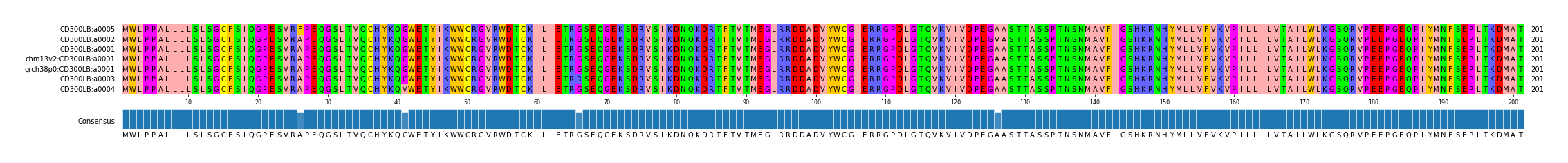 Multiple Alignments (by translate haplotype similarity)