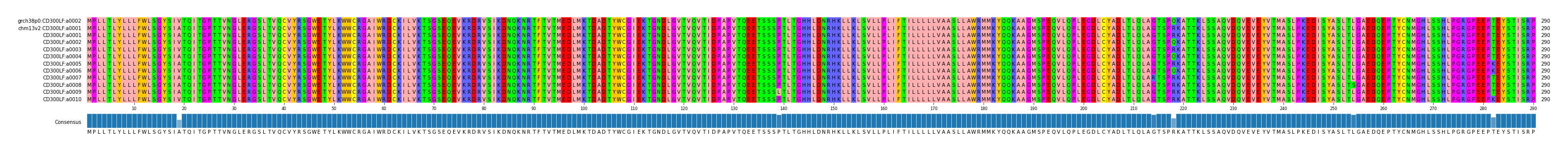 Multiple Alignments (by translate haplotype frequency)