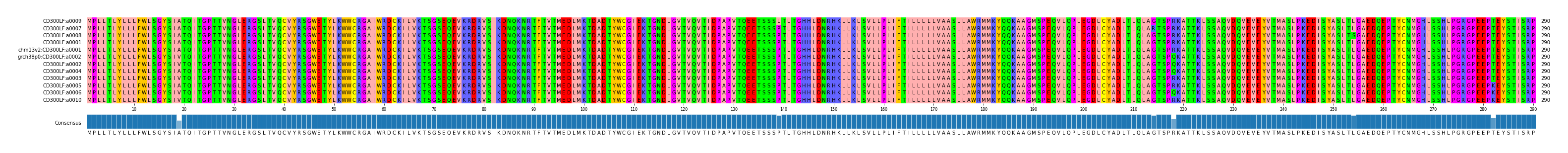 Multiple Alignments (by translate haplotype similarity)