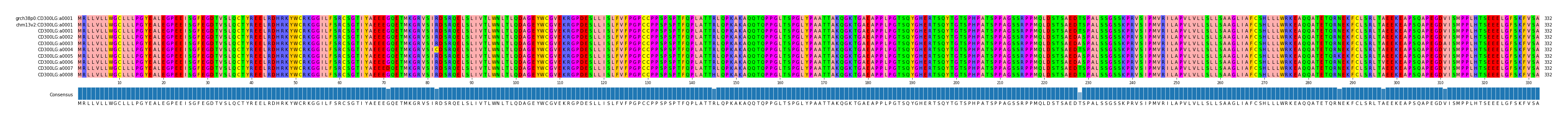 Multiple Alignments (by translate haplotype frequency)