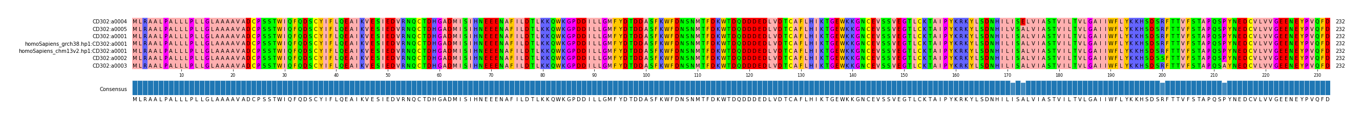 Multiple Alignments (by translate haplotype similarity)