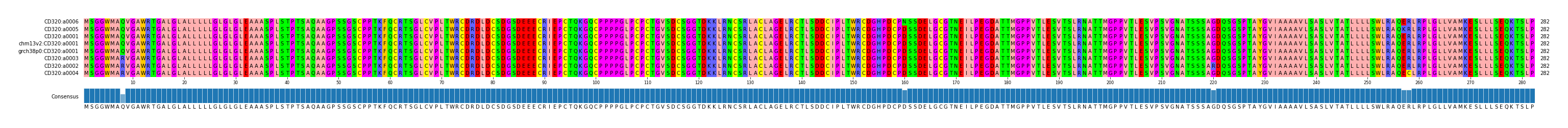 Multiple Alignments (by translate haplotype similarity)