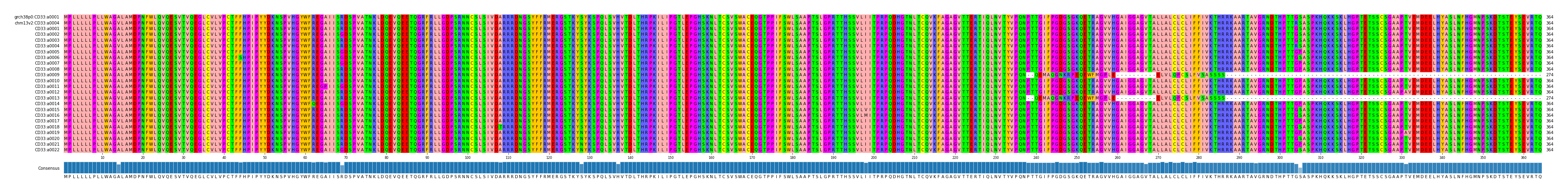 Multiple Alignments (by translate haplotype frequency)