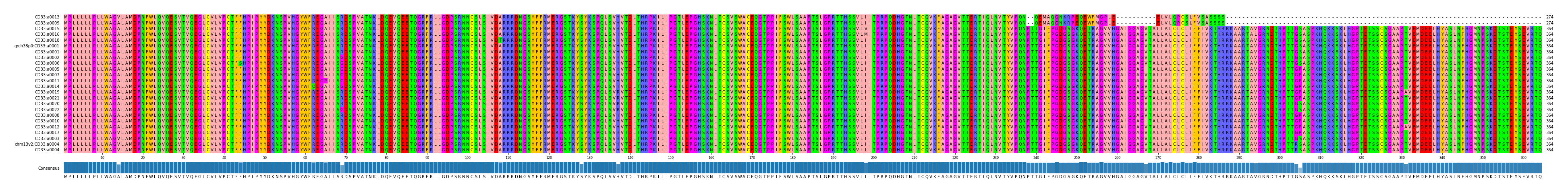 Multiple Alignments (by translate haplotype similarity)