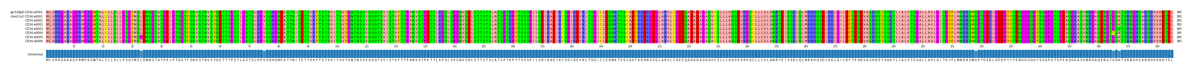 Multiple Alignments (by translate haplotype frequency)