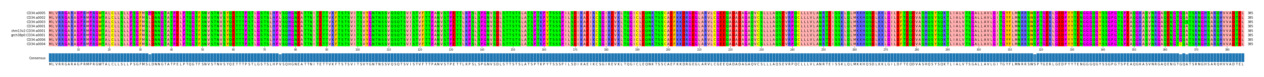 Multiple Alignments (by translate haplotype similarity)